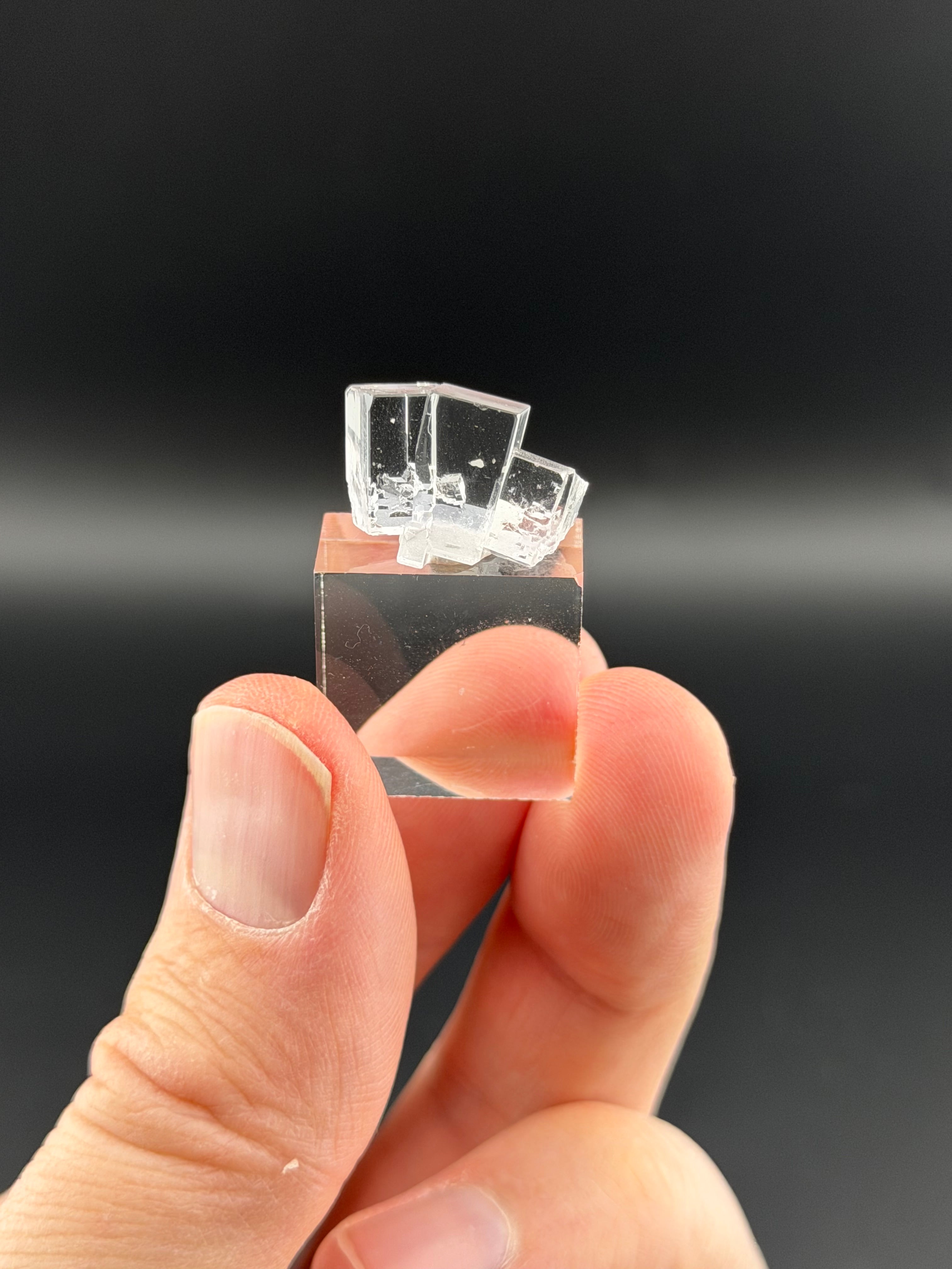 The Llamas Quarry Collection