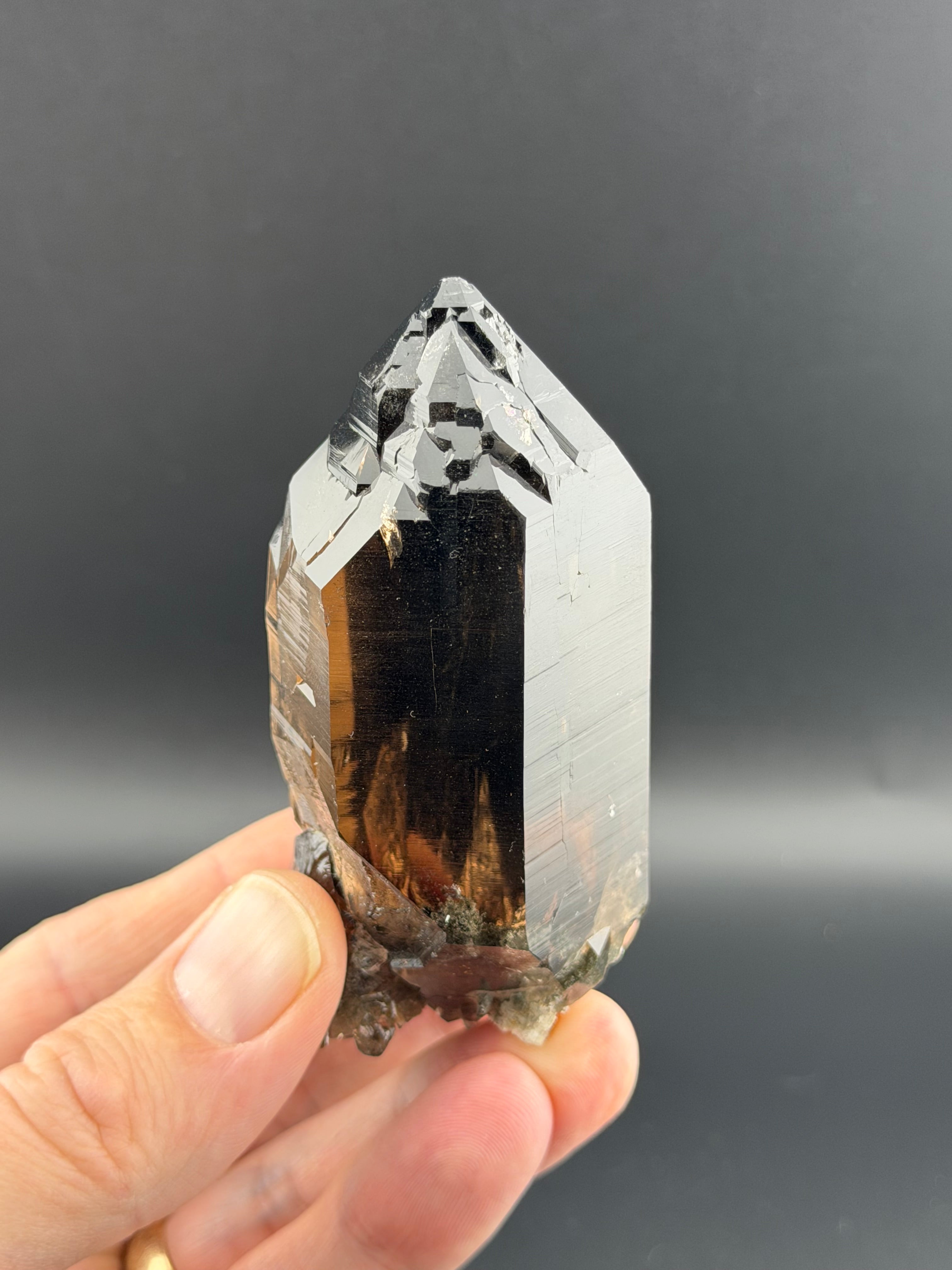 The Mont Blanc Collection