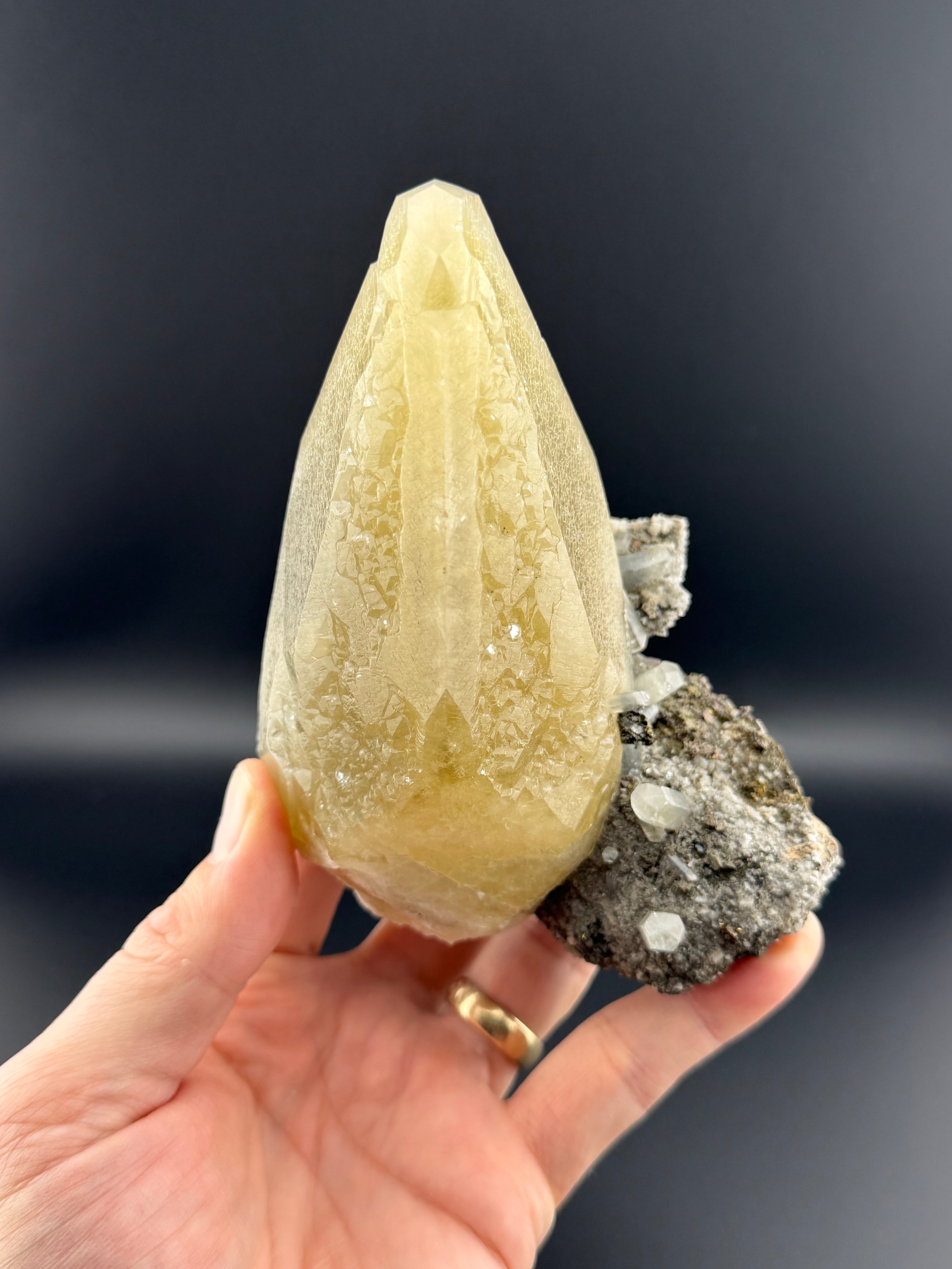 The Sweetwater Collection