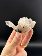 Scepter Quartz Cluster