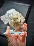 NFS Swiss Skeletal Quartz
