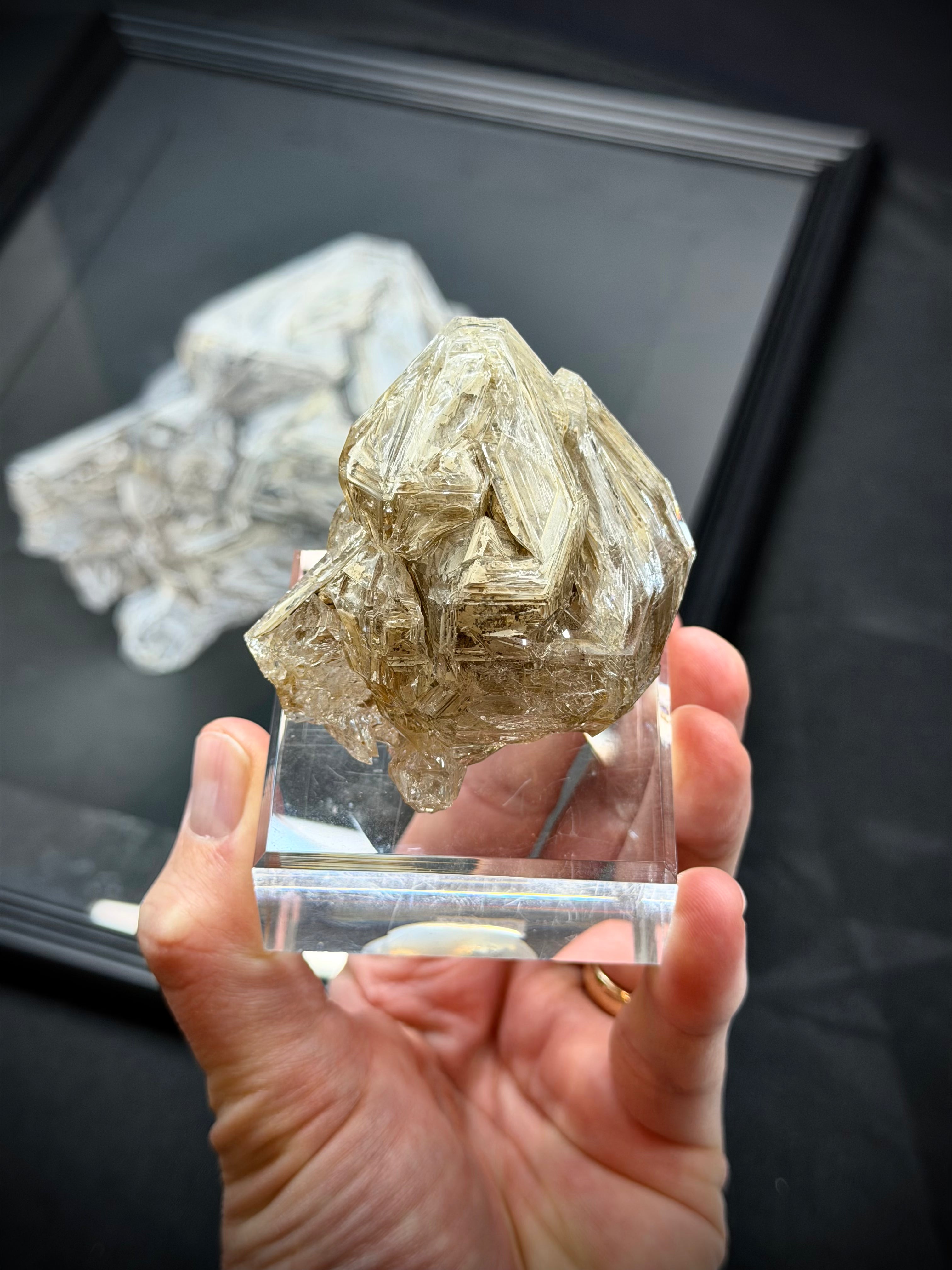 NFS Swiss Skeletal Quartz