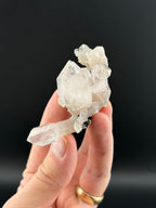 Scepter Quartz Cluster